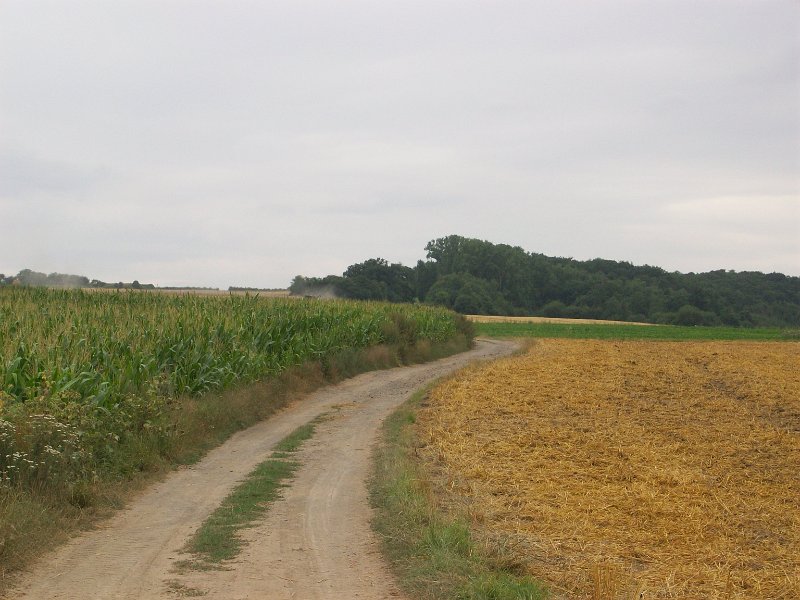 178.JPG