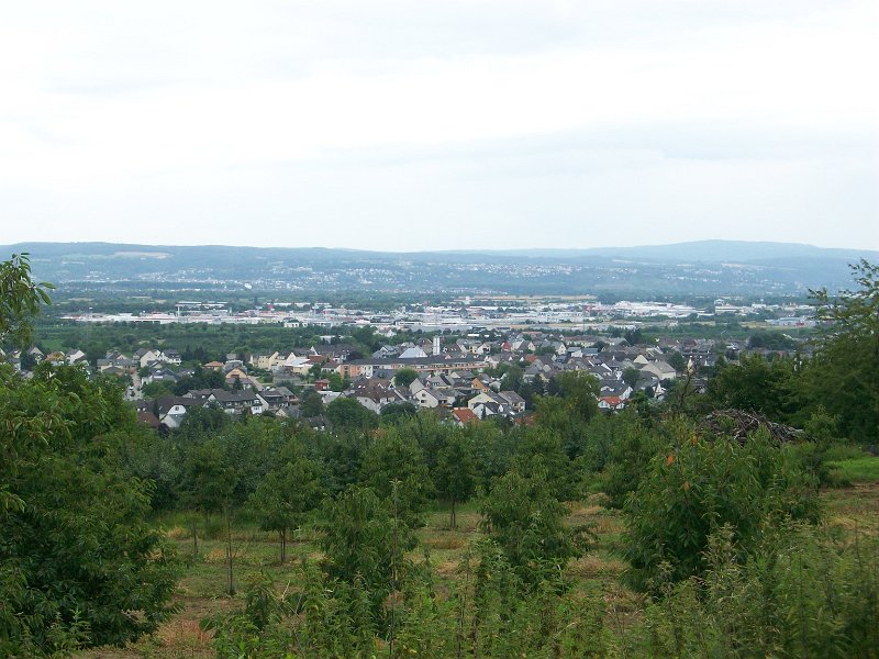 186.JPG