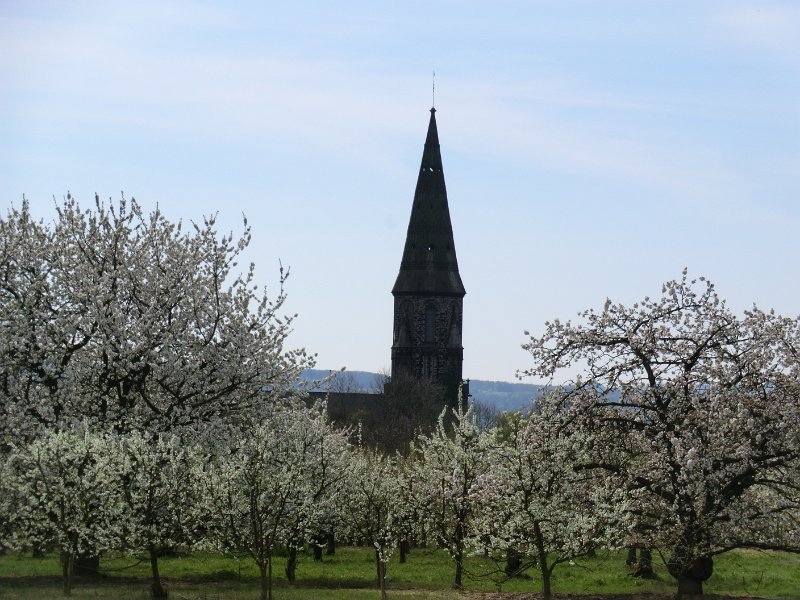 141.JPG