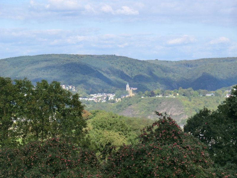 233.JPG