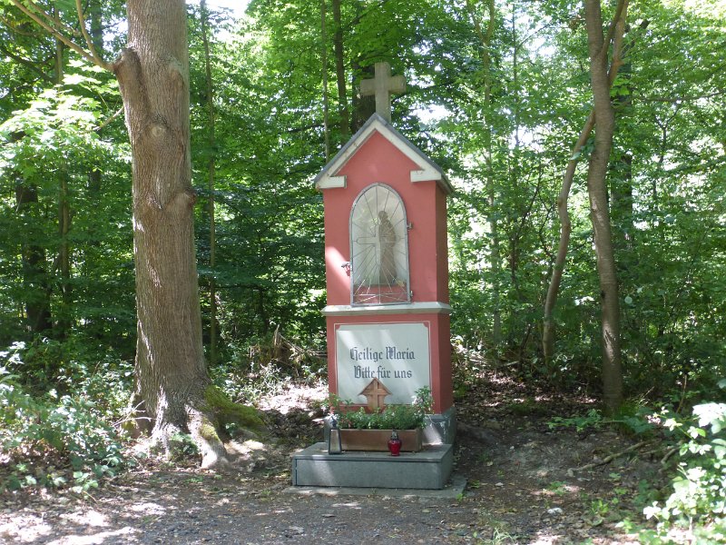 062.JPG
