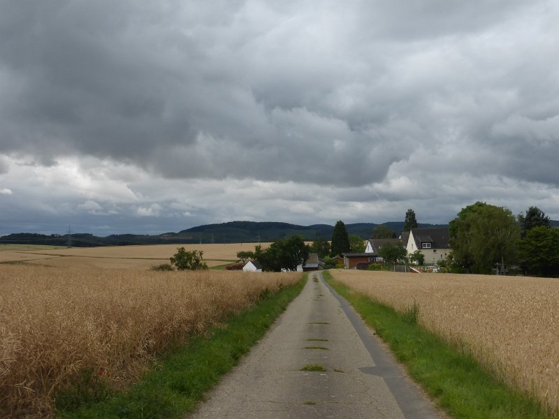 105.JPG