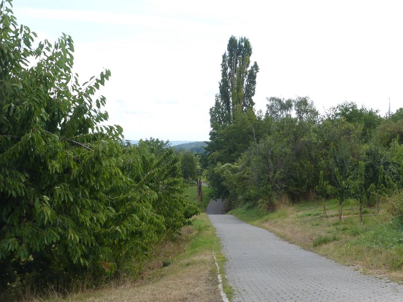 129.JPG
