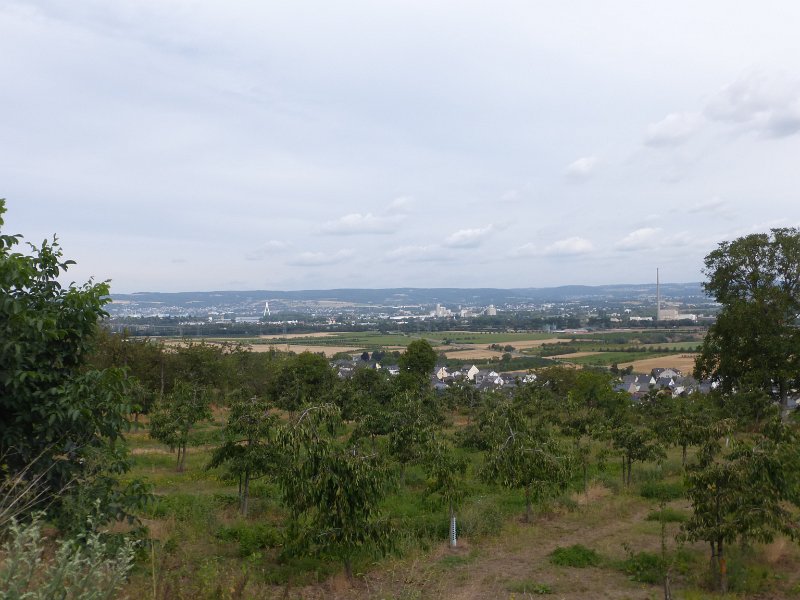130.JPG