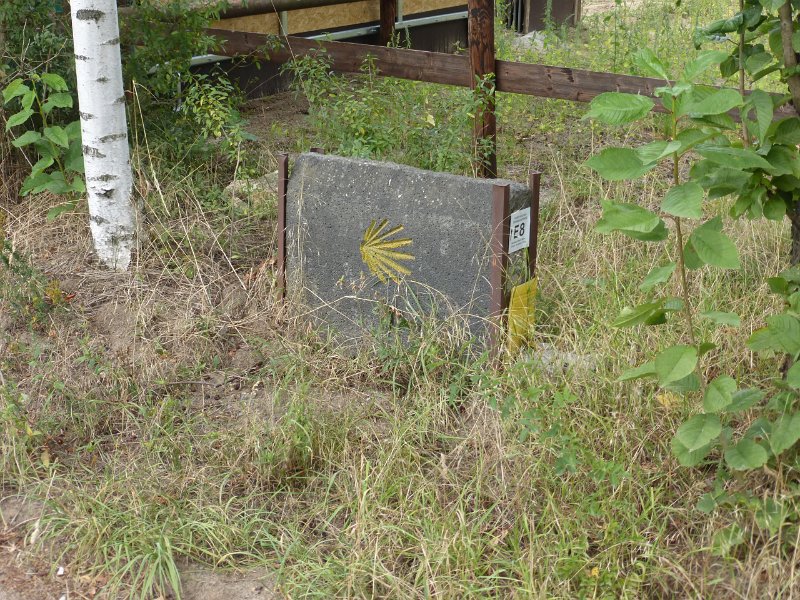 141.JPG