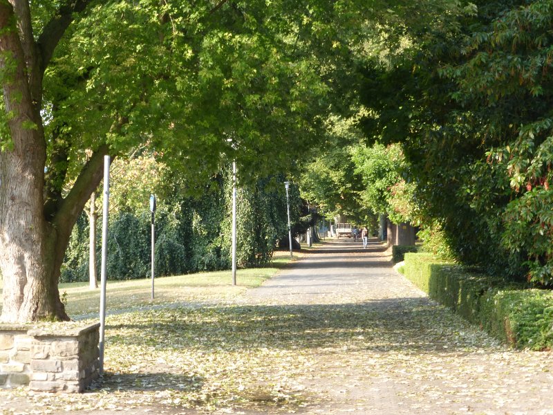 158.JPG