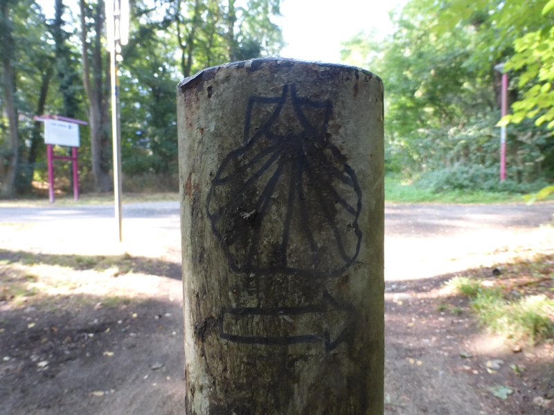 159.JPG