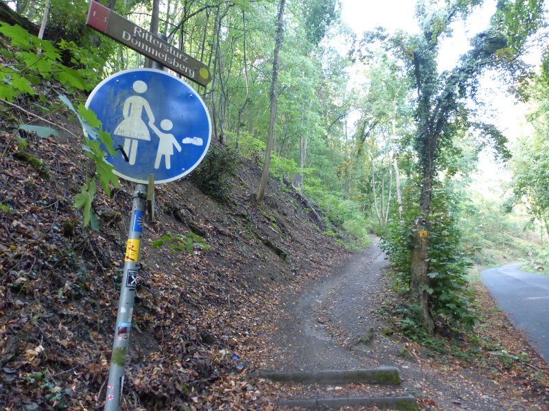 160.JPG