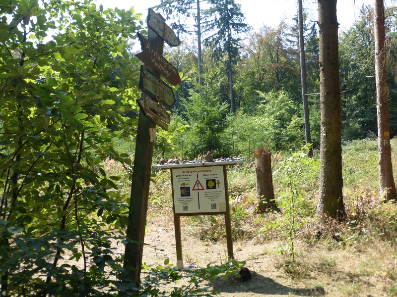165.JPG