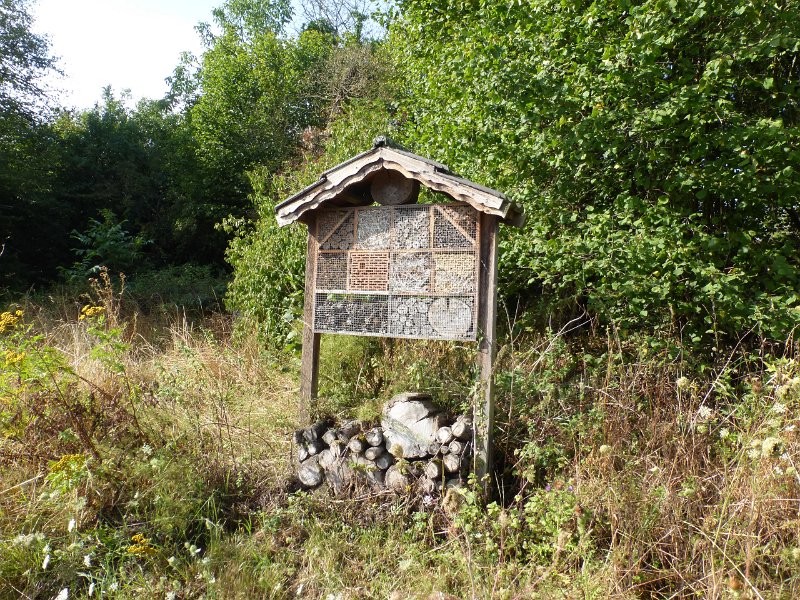 169.JPG