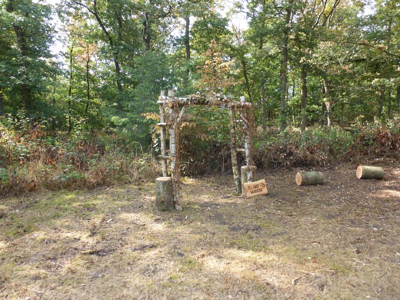 175.JPG