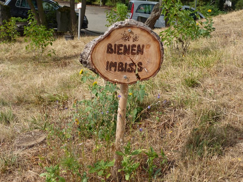 176.JPG