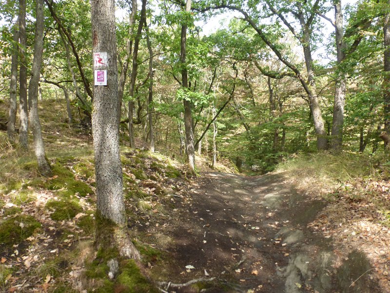 179.JPG