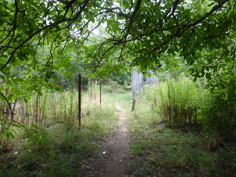 189.JPG