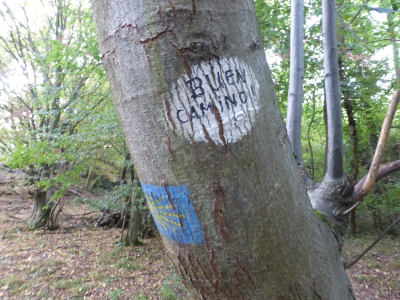 193.JPG