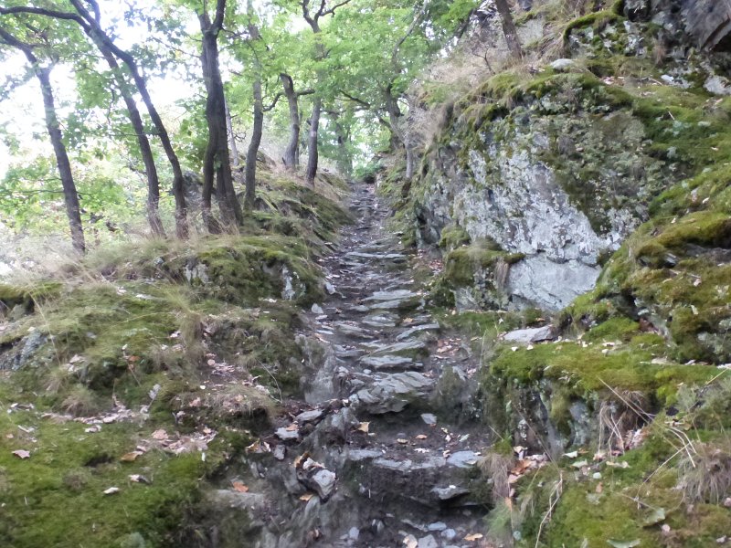 195.JPG