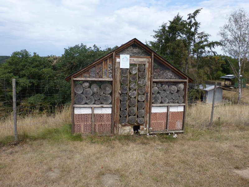 199.JPG
