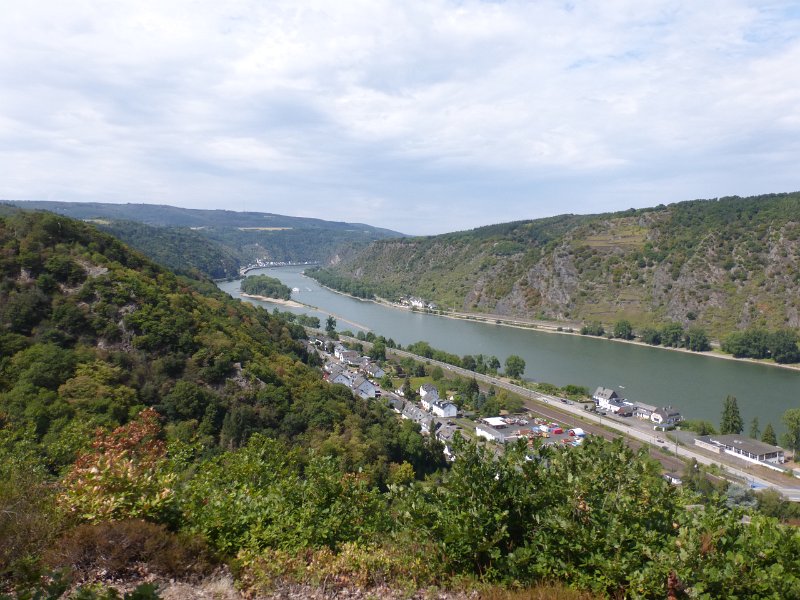 201.JPG