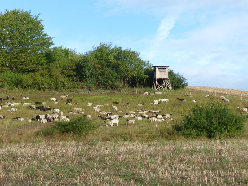 217.JPG