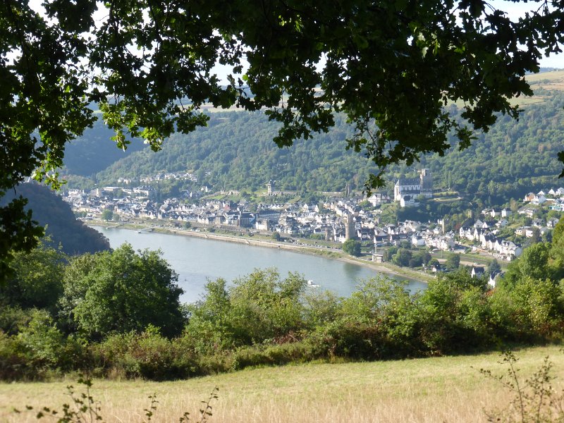 228.JPG