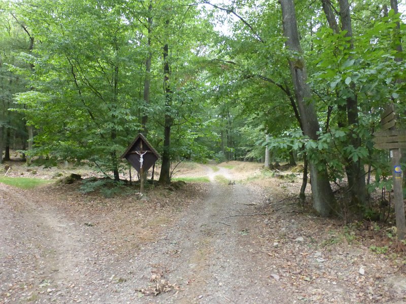 270.JPG