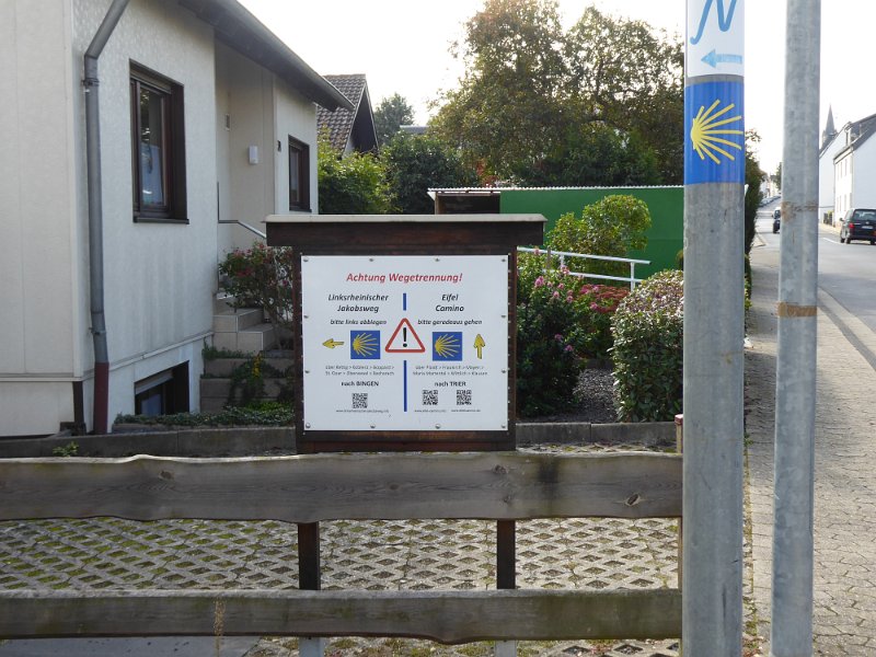 156.JPG