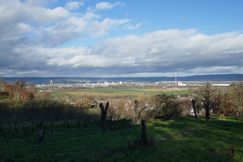 164.JPG