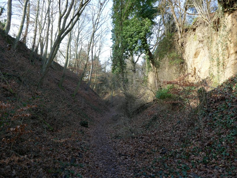 225.JPG