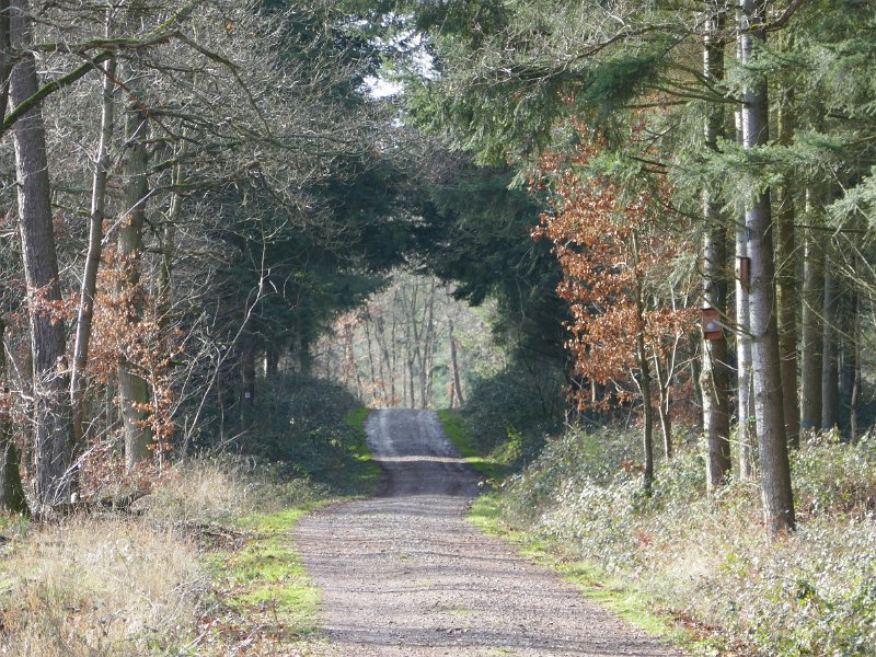230.JPG