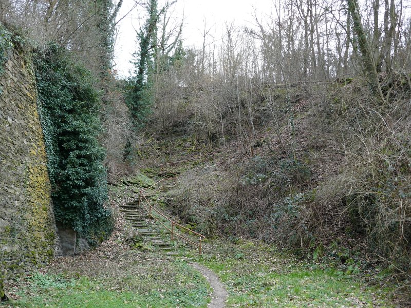 297.JPG