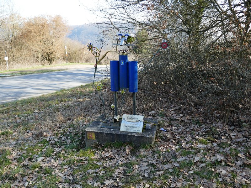 317.JPG