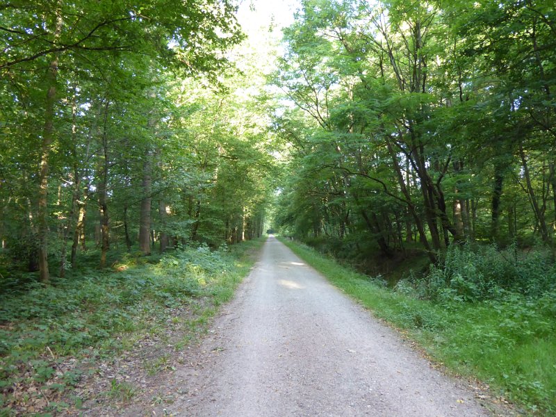 177.JPG