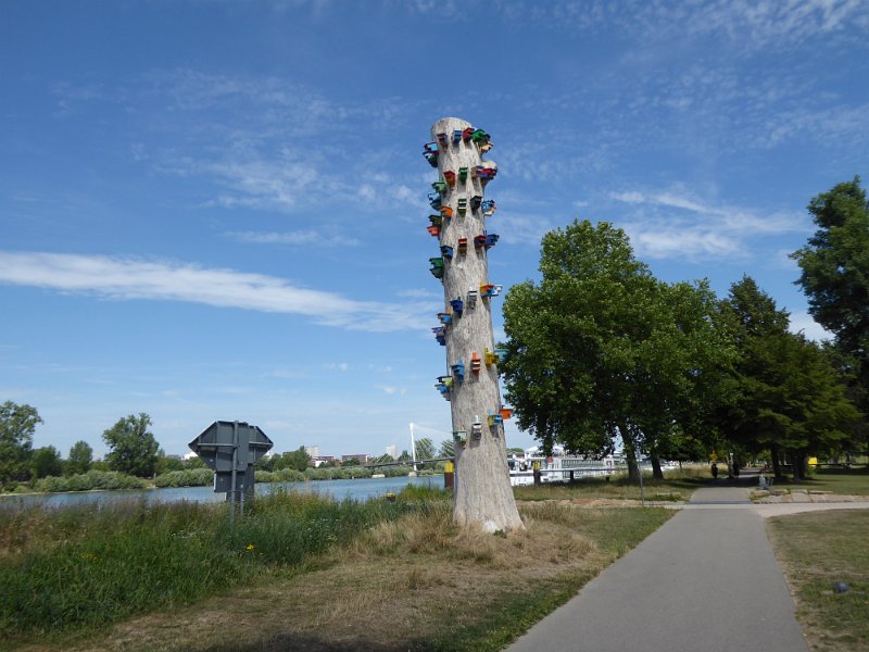 193.JPG
