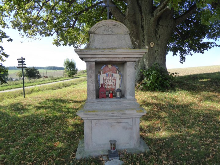 105.JPG