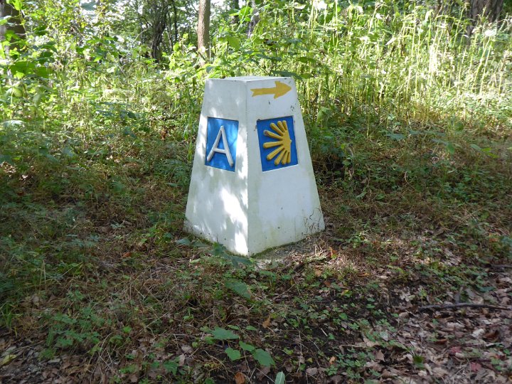 110.JPG