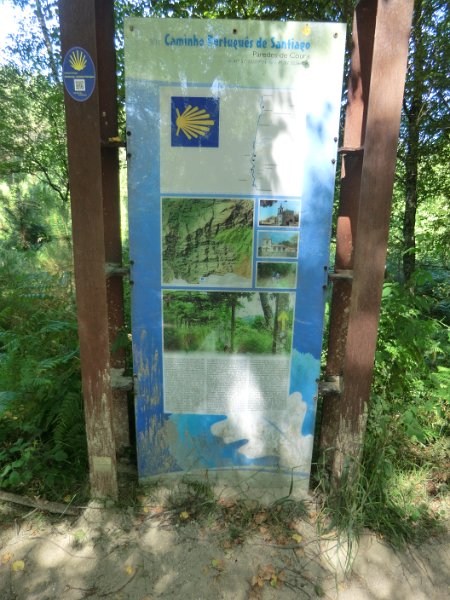 228.JPG