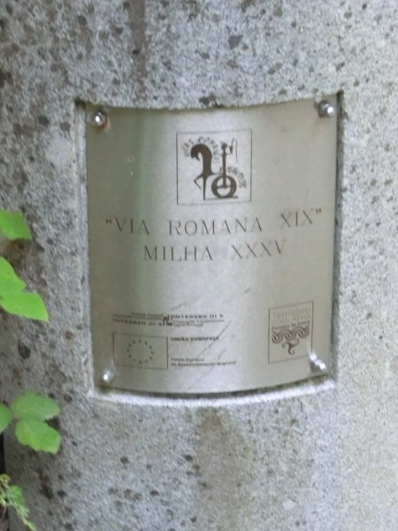 241.JPG