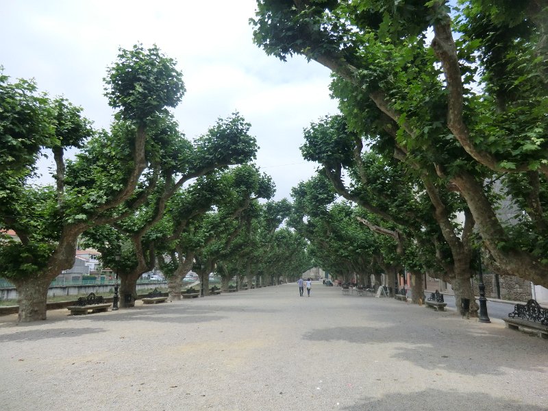380.JPG