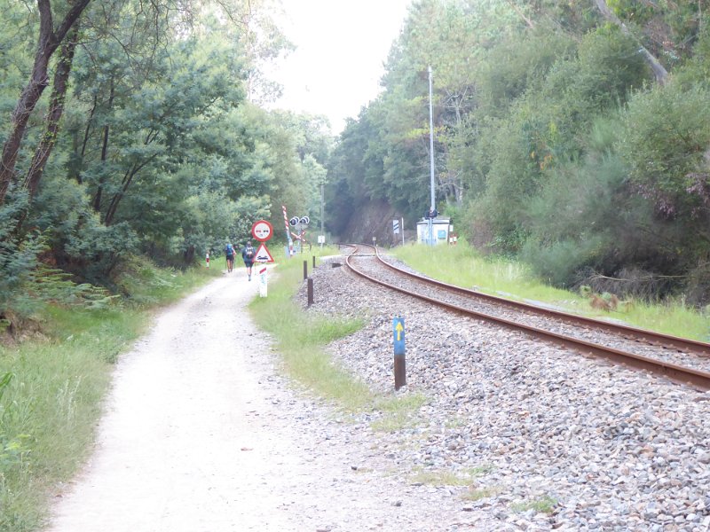236.JPG