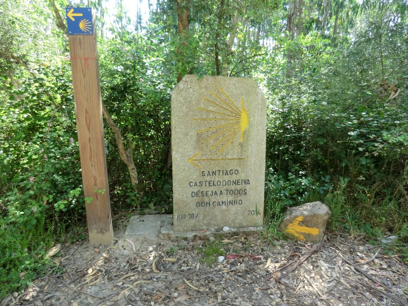 167.JPG