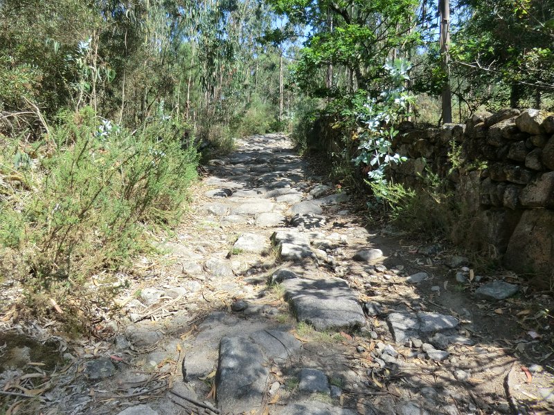 168.JPG