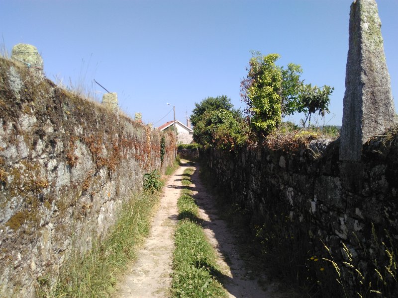 175.jpg