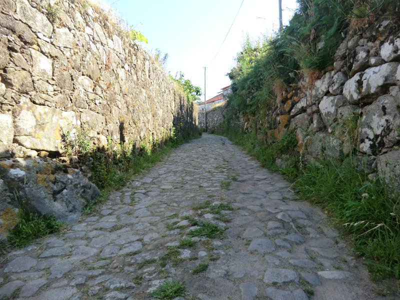 201.JPG
