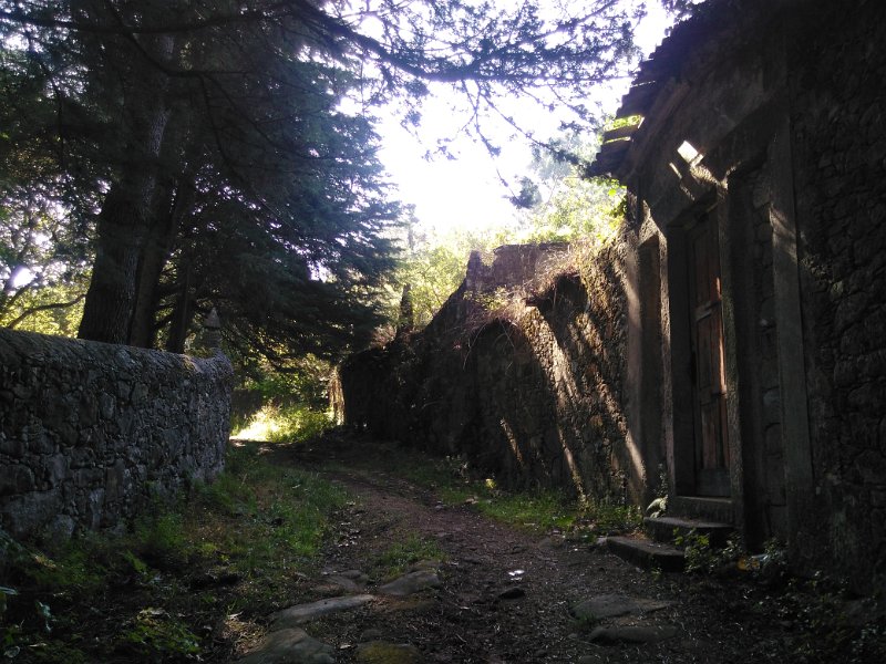 204.jpg