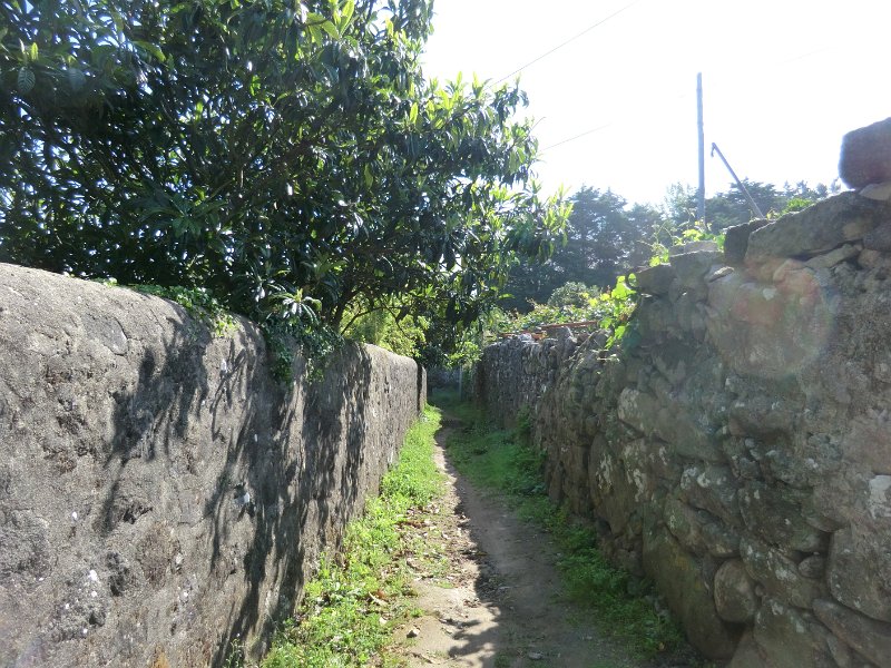 206.JPG