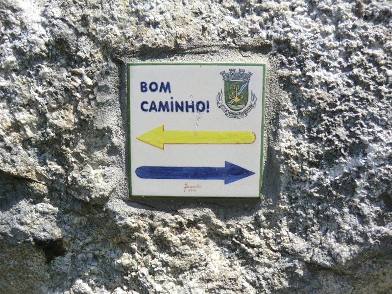 215.JPG