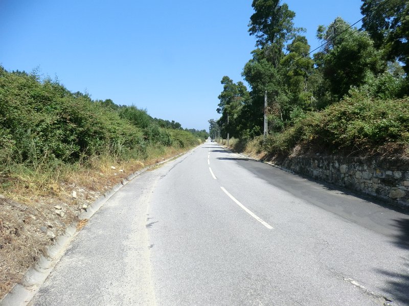223.JPG