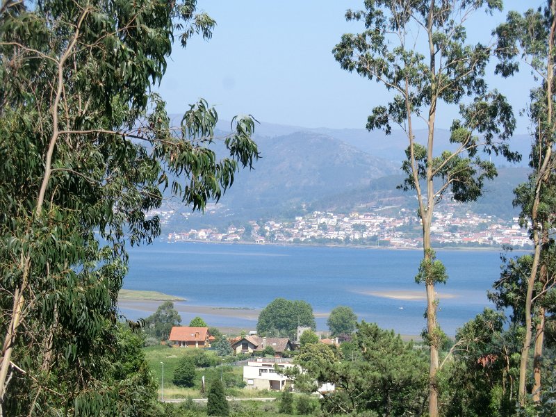 230.JPG