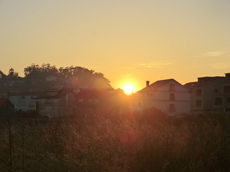 241.JPG