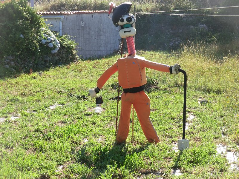 253.JPG